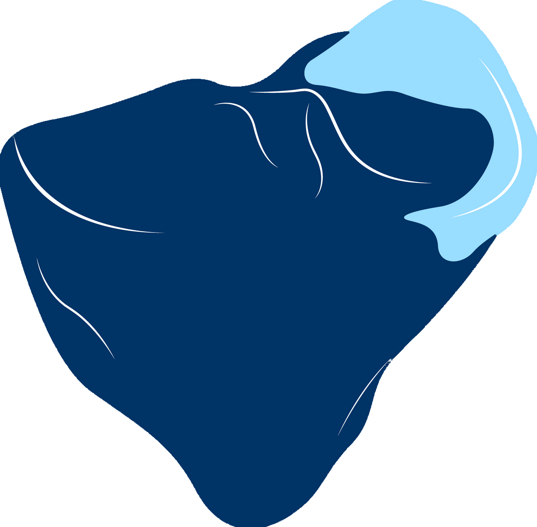 Medial Meniscus Analysis